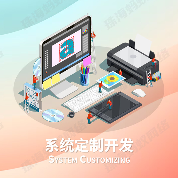 系统定制开发